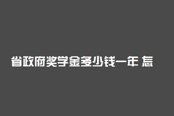 省政府奖学金多少钱一年 怎么申请