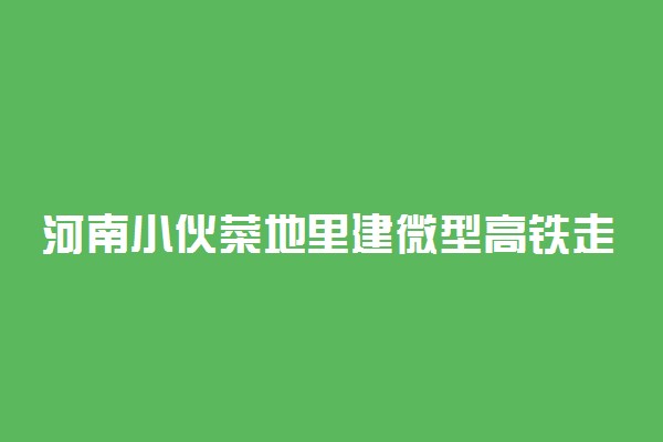 河南小伙菜地里建微型高铁走红 究竟怎么回事