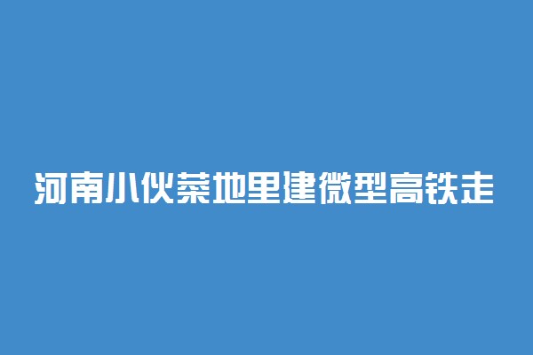 河南小伙菜地里建微型高铁走红 具体情况