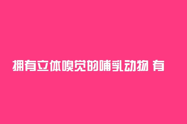 拥有立体嗅觉的哺乳动物 有什么特点