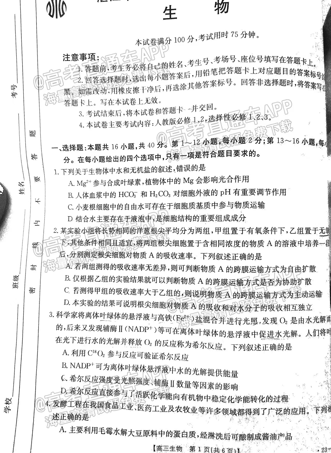 2023湛江高三10月调研（23-80C）生物试卷及答案汇总