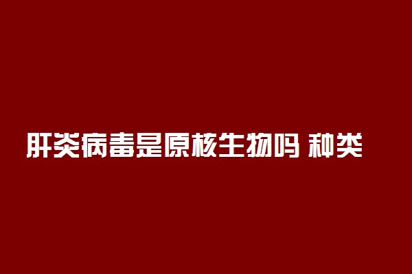 肝炎病毒是原核生物吗 种类有哪些