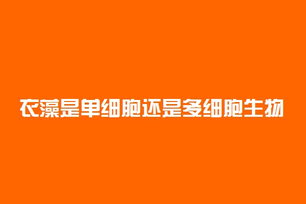 衣藻是单细胞还是多细胞生物 相关内容介绍