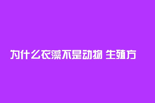 为什么衣藻不是动物 生殖方式是在怎样的