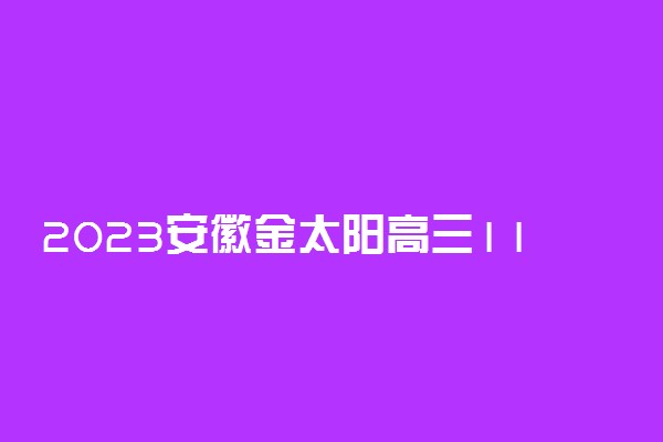 2023安徽金太阳高三11月联考语文答案及试卷解析