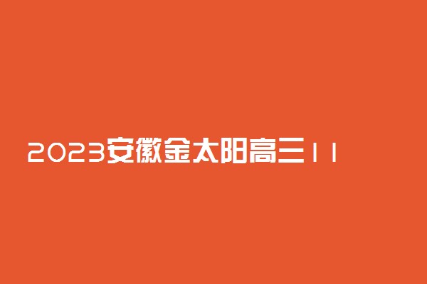 2023安徽金太阳高三11月联考英语答案及试卷解析