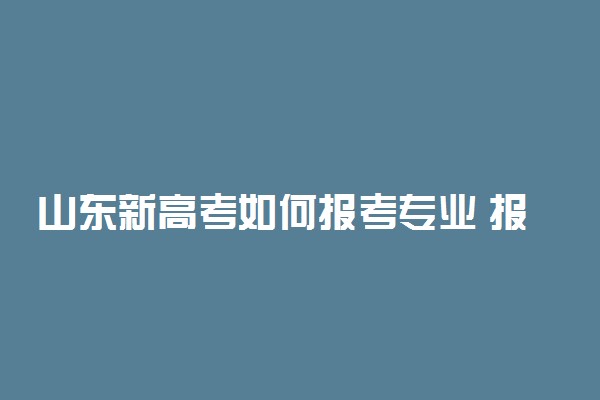 山东新高考如何报考专业 报什么专业好