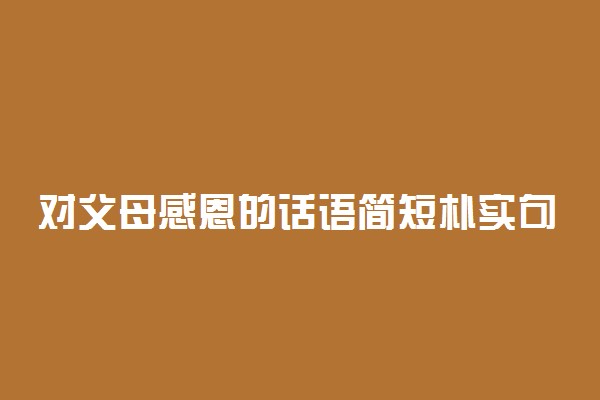 对父母感恩的话语简短朴实句子推荐