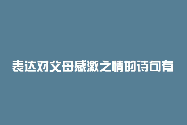 表达对父母感激之情的诗句有什么