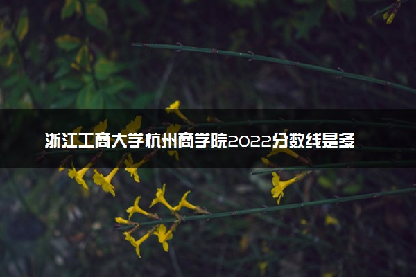 浙江工商大学杭州商学院2022分数线是多少 各省录取最低位次