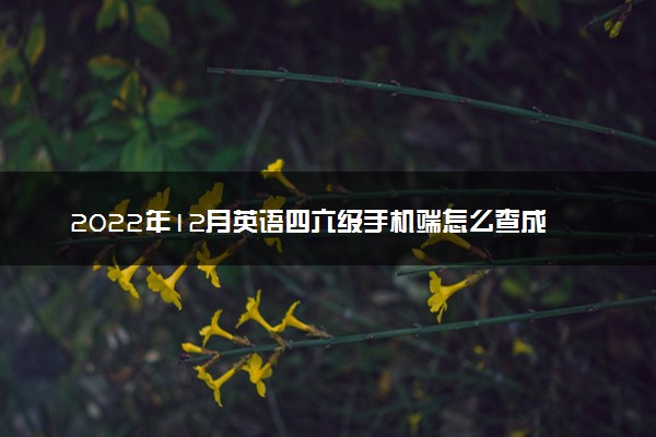 2022年12月英语四六级手机端怎么查成绩 查询方法是什么