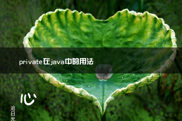 private在java中的用法