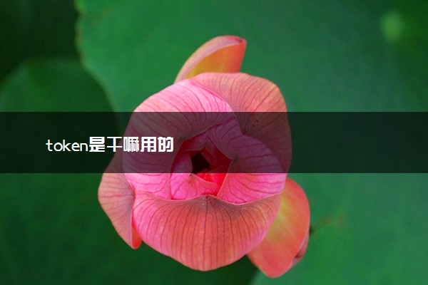token是干嘛用的