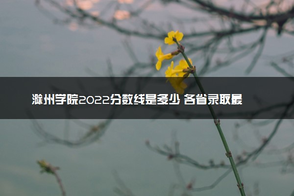 滁州学院2022分数线是多少 各省录取最低位次