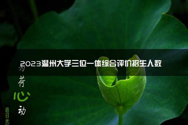 2023温州大学三位一体综合评价招生人数及专业