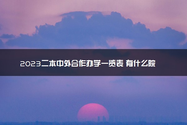 2023二本中外合作办学一览表 有什么院校