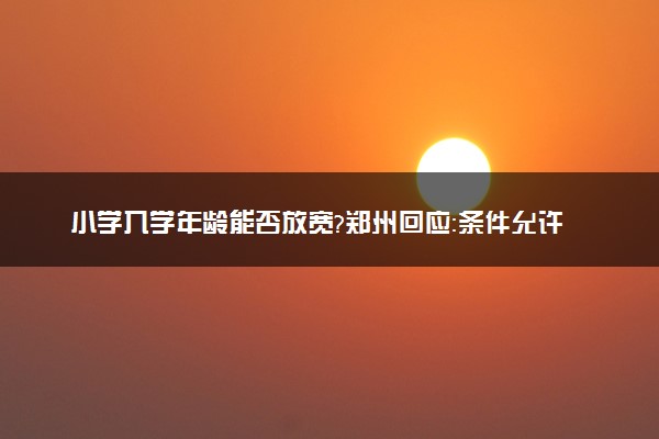 小学入学年龄能否放宽?郑州回应：条件允许下可以