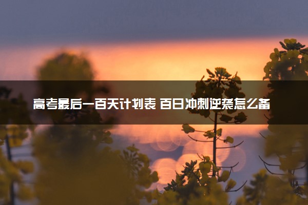 高考最后一百天计划表 百日冲刺逆袭怎么备考