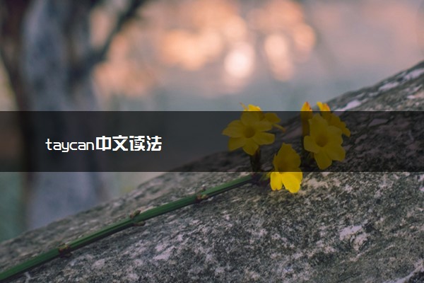 taycan中文读法