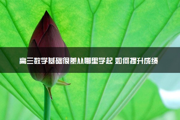 高三数学基础很差从哪里学起 如何提升成绩