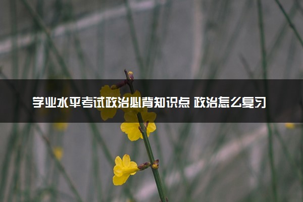 学业水平考试政治必背知识点 政治怎么复习