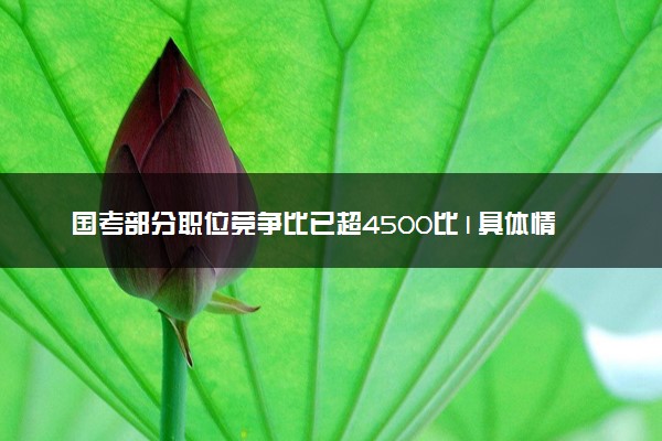 国考部分职位竞争比已超4500比1具体情况 国考报名进入最后时段