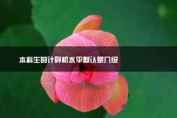 本科生的计算机水平默认是几级