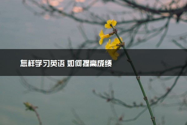 怎样学习英语 如何提高成绩