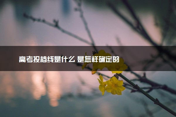 高考投档线是什么 是怎样确定的