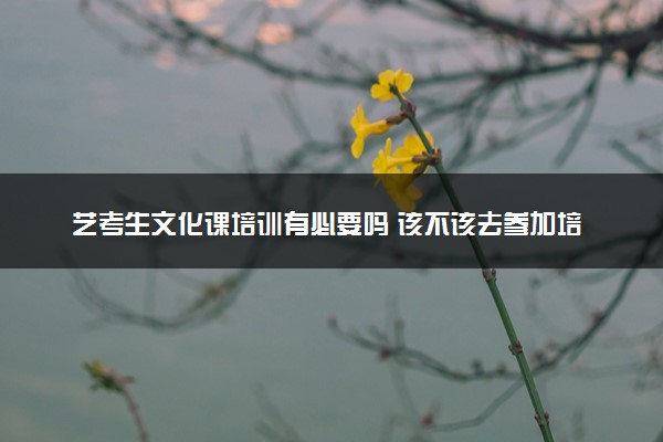 艺考生文化课培训有必要吗 该不该去参加培训