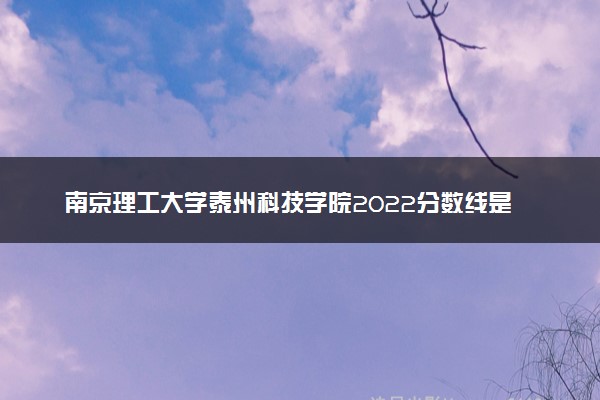 南京理工大学泰州科技学院2022分数线是多少 各省录取最低位次