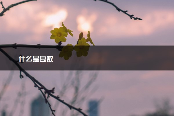 什么是复数