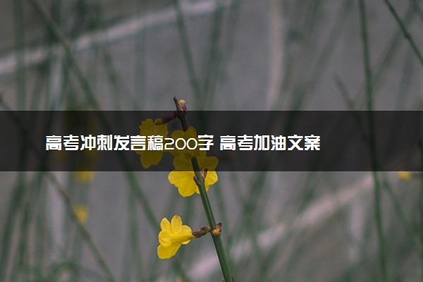 高考冲刺发言稿200字 高考加油文案