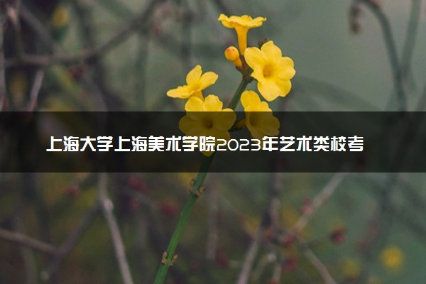 上海大学上海美术学院2023年艺术类校考初选成绩查询