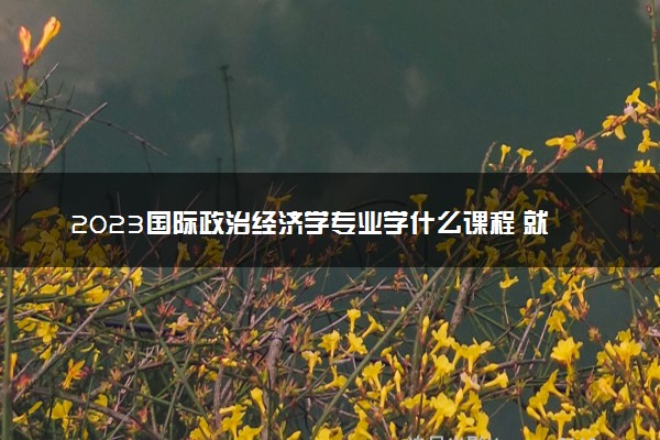 2023国际政治经济学专业学什么课程 就业前景及方向