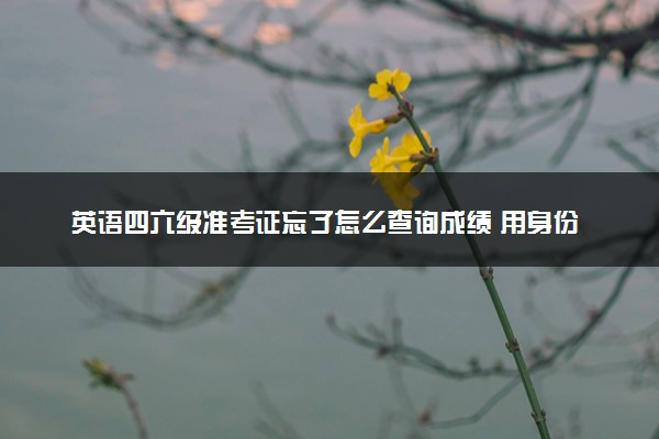 英语四六级准考证忘了怎么查询成绩 用身份证号可以吗