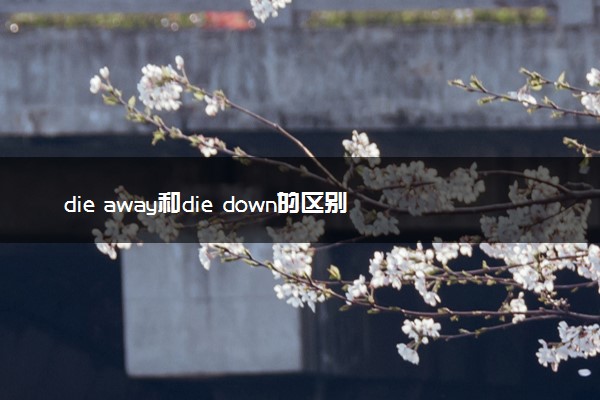 die away和die down的区别