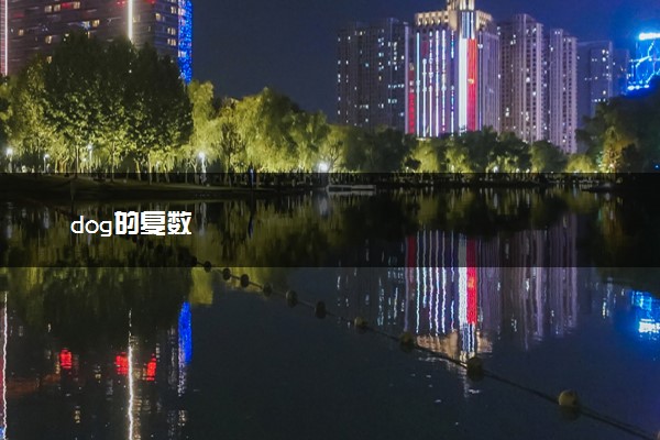 dog的复数