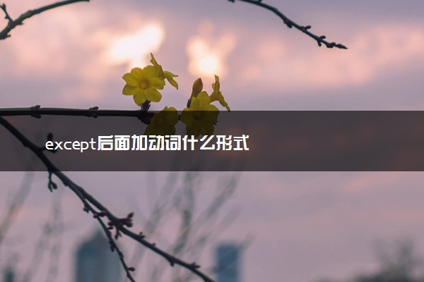 except后面加动词什么形式