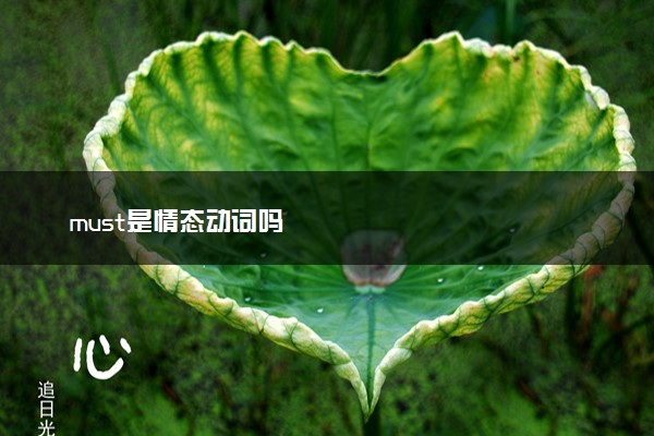 must是情态动词吗
