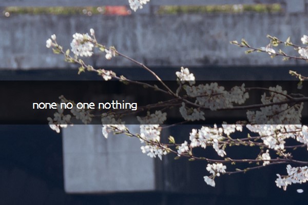 none no one nothing nobody的区别