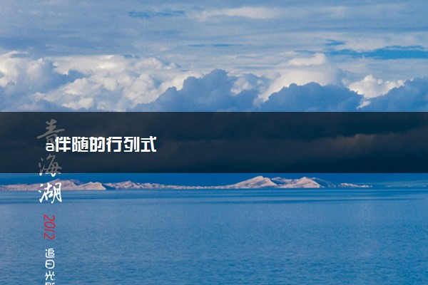 a伴随的行列式