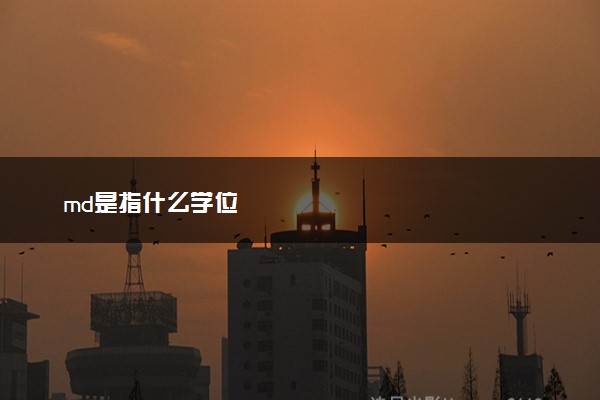 md是指什么学位