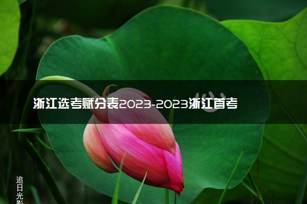 浙江选考赋分表2023-2023浙江首考赋分对照表