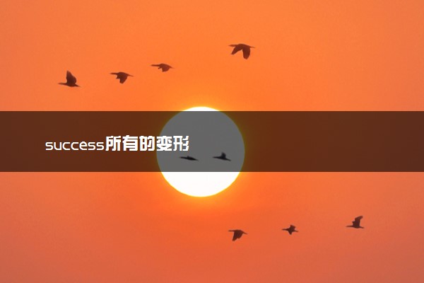 success所有的变形