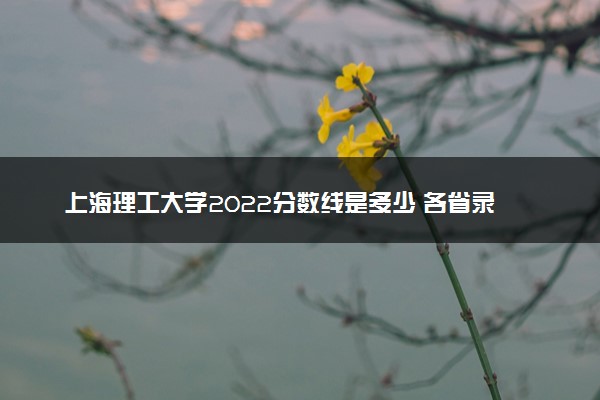 上海理工大学2022分数线是多少 各省录取最低位次