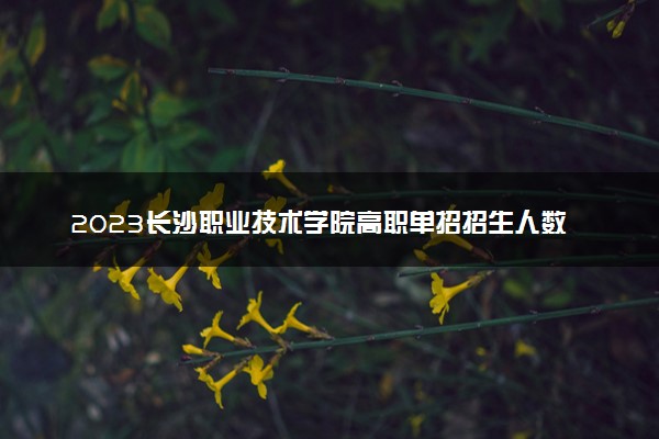 2023长沙职业技术学院高职单招招生人数及专业