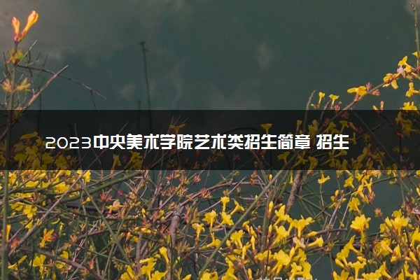 2023中央美术学院艺术类招生简章 招生人数及专业