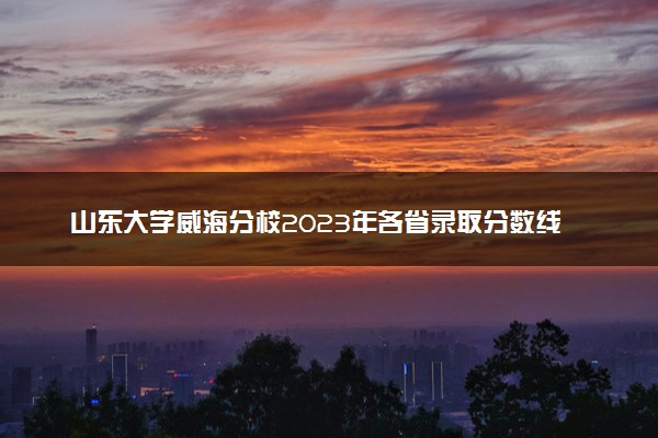 山东大学威海分校2023年各省录取分数线及专业分数线