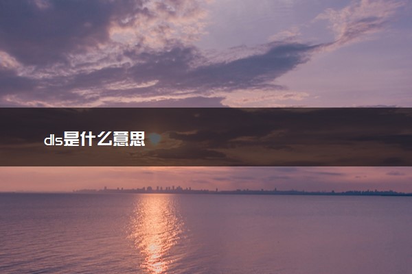 dls是什么意思
